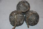 Ballen of bollen met grijze haartjes ter decoratie., Huis en Inrichting, Woonaccessoires | Overige, Ophalen of Verzenden, Nieuw