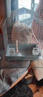 LEUKE VOGELKOOI MET MORSBAK, Ophalen, Kooi-accessoires