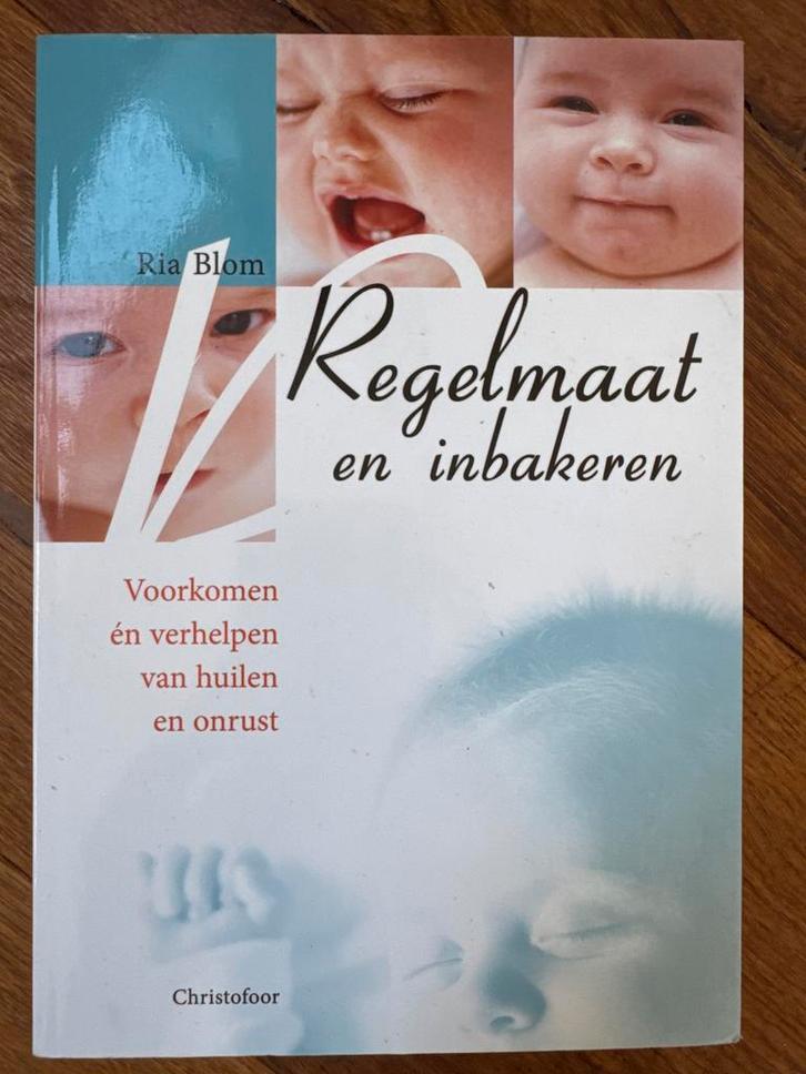 Regelmaat en inbakeren - Ria Blom, Boeken, Zwangerschap en Opvoeding, Zo goed als nieuw, Zwangerschap en Bevalling, Ophalen of Verzenden