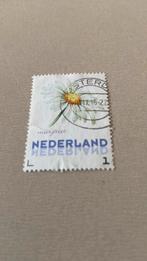 Nederland, Ophalen of Verzenden