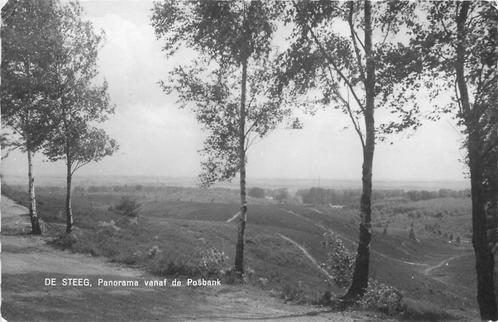 (387-227-027) De Steeg Panorama vanaf de Posbank, Verzamelen, Ansichtkaarten | Nederland, Gelderland, Verzenden