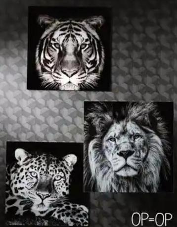 Dieren Prints - Leeuw, Tijger, Luipaard beschikbaar voor biedingen
