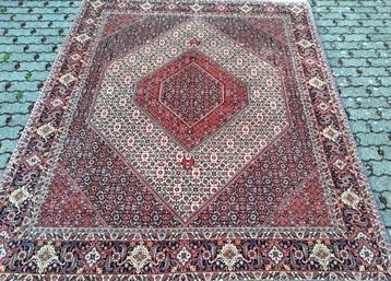 Perzisch handgeknoopt Iraanse tapijt (Bidjar) 254 x 205 cm beschikbaar voor biedingen
