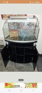 Super mooi terrarium incl onderkast, Dieren en Toebehoren, Ophalen, Zo goed als nieuw, Terrarium of Paludarium