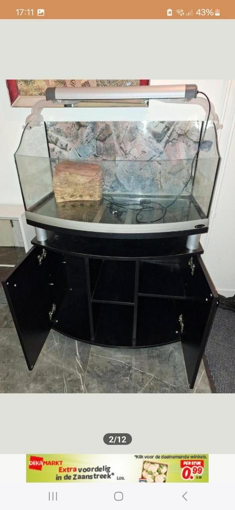Super mooi terrarium incl onderkast, Dieren en Toebehoren, Reptielen en Amfibieën | Toebehoren, Zo goed als nieuw, Terrarium of Paludarium