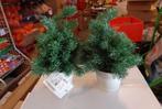 PARTIJ KERSTBOOM 25CM IN POTJE GROEN FROSTED