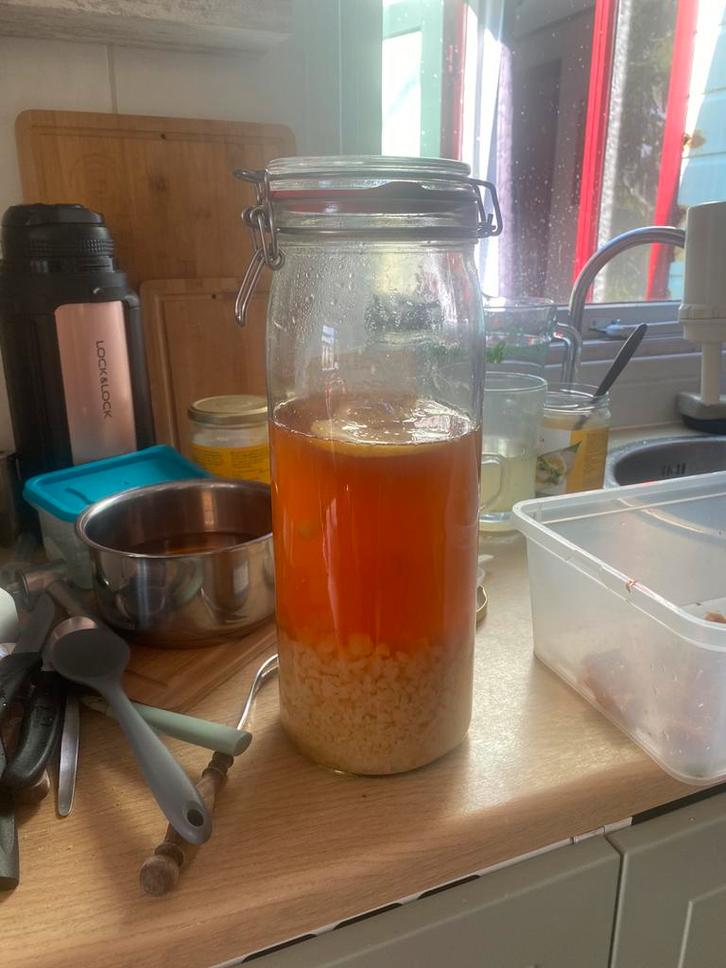 Waterkefir korrels biologisch., Diversen, Levensmiddelen, Ophalen