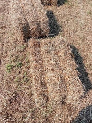 hooi beschikbaar voor biedingen