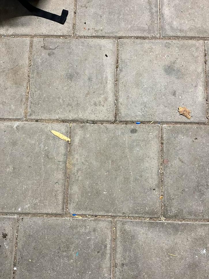 Partij betontegels, Tuin en Terras, Tegels en Klinkers, Gebruikt, Terrastegels, Beton, 10 m² of meer, Ophalen