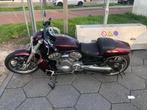 Harley Davidson VROD Muscle Custom