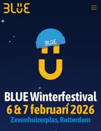 BLUE festival ticket 18+  (7/2/2026), Tickets en Kaartjes, Eén persoon