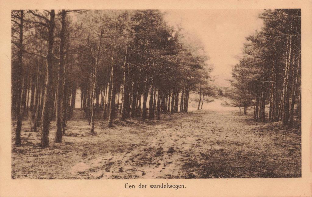 Eerbeek Coldenhove Een der Wandelwegen M8005, Ophalen, 1920 tot 1940, Ongelopen, Gelderland