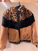 Cars winterjas meisjes maat 152-158, Ophalen of Verzenden, Zo goed als nieuw, Maat 34 (XS) of kleiner, Bruin