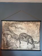 Vintage schoolplaat met jaguar, Ophalen, Natuur en Biologie