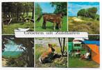 Zuidlaren Gelopen Ansichtkaart ( B6148 ), Verzamelen, Ansichtkaarten | Nederland, Ophalen of Verzenden, 1980 tot heden, Gelopen