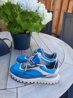 Herenschoenen Floris van Bommel. Maat 42 1x gedragen, Kleding | Heren, Schoenen, Blauw, Floris van Bommel, Ophalen of Verzenden