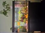 Juwel aquarium, Ophalen of Verzenden, Gevuld zoetwateraquarium