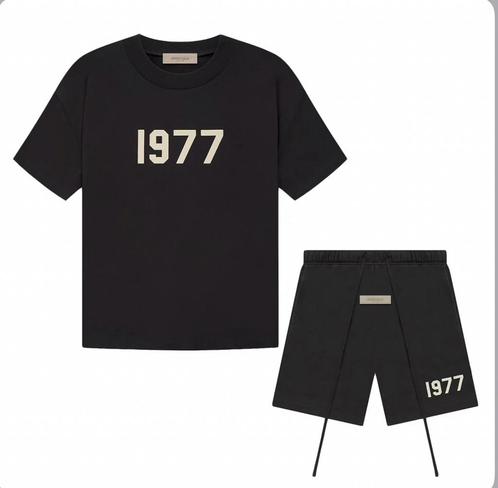 1977 iron Zomerset, Kleding | Heren, T-shirts, Nieuw, Maat 48/50 (M), Grijs, Ophalen of Verzenden