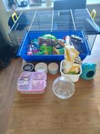 Kooi en spullen eten, Dieren en Toebehoren, Kooi, Zo goed als nieuw, Hamster, Ophalen