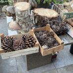 Houtschijven rieten mandjes,boomschors dennenappels schalen, Hobby en Vrije tijd, Ophalen of Verzenden, Gebruikt, Meerdere media