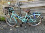 Zeer nette meiden fiets 20inch met mandje, Fietsen en Brommers, Fietsen | Meisjes, Ophalen, Gebruikt, Handrem, Alpina Cargo