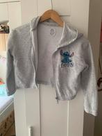 Stitch Vestje Grijs Maat 128 Primark, Ophalen of Verzenden, Zo goed als nieuw, Meisje, Trui of Vest