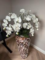 Schelpenvaas met orchideeën Eric Kuster Style, Ophalen, Zo goed als nieuw