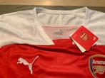 Arsenal Shirt Aubameyang #14 - Nieuw - Maat L, Nieuw, Ophalen of Verzenden, Rood, Puma