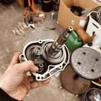 Snor vertanding dubbel gelagerd, Ophalen