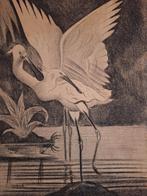 Tekening van Lepelaars, Ophalen of Verzenden