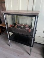 Cactus - terrariumkastje, Overige soorten