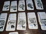 vintage dierentuin kwartetspel van artis, Verzamelen, Speelkaarten, Jokers en Kwartetten, Ophalen of Verzenden, Gebruikt, Kwartet(ten)