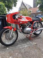 Mooie MV Agusta 350B type S, 2 cilinders, Sport, 350 cc