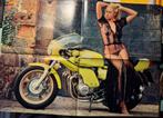 Super poster Rickman Kawasaki, Verzenden, Deurposter of groter, Overige onderwerpen, Rechthoekig Staand