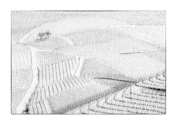 Franco Turcati - Langhe inverno beschikbaar voor biedingen