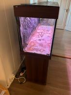 Aquarium inclusief kast, Dieren en Toebehoren, Vissen | Aquaria en Toebehoren, Ophalen, Leeg aquarium