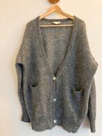 Prachig vest American Vintage, Kleding | Dames, Ophalen of Verzenden, Zo goed als nieuw, Maat 38/40 (M)