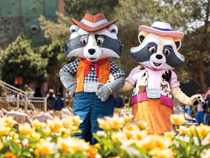 4 kaarten attractiepark Slagharen t/m 30 november, Tickets en Kaartjes, Recreatie | Pretparken en Attractieparken, Drie personen of meer