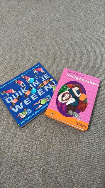 Carita Salome - Duik in je weeen beschikbaar voor biedingen