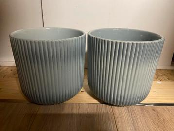 Bloempotten blauw beschikbaar voor biedingen