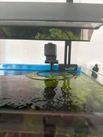 Eheim AutoFeeder plus voederautomaat (wifi), Ophalen of Verzenden, Zo goed als nieuw, Filter of Co2