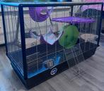 Complete Rat Cage Setup with Accessories, Ophalen, Kooi, 60 tot 90 cm, Zo goed als nieuw