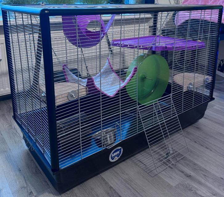 Complete Rat Cage Setup with Accessories, Dieren en Toebehoren, Knaagdieren en Konijnen | Hokken en Kooien, Zo goed als nieuw