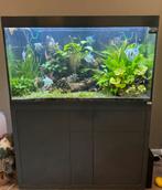 Aquatlantis sublime 350, Ophalen, Zo goed als nieuw, Leeg aquarium