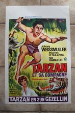 filmaffiche Tarzan and his Mate filmposter, Ophalen of Verzenden, A1 t/m A3, Zo goed als nieuw, Rechthoekig Staand