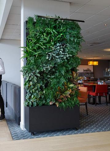 Zelfsturende groeneplant wand Maxgreenwall beschikbaar voor biedingen