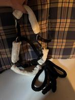 Bonte halster pony met halster touw, Dieren en Toebehoren, Ophalen, Zo goed als nieuw, Overige soorten