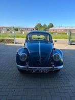 Volkswagen 11 In nieuwstaat verkerende Volkswagen Kever 1966, Achterwielaandrijving, Overige carrosserieën, Overige kleuren, Handgeschakeld