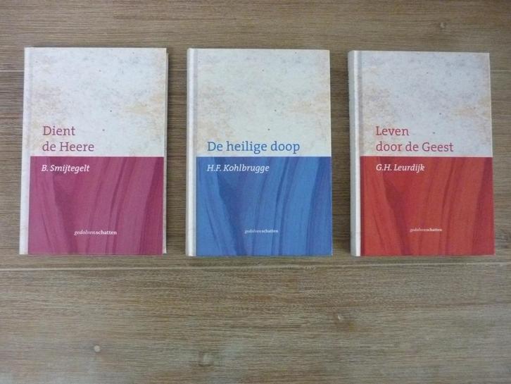 Serie gedolvenschatten B. Smytegelt - Dient de Heere, Boeken, Godsdienst en Theologie, Zo goed als nieuw, Christendom | Protestants
