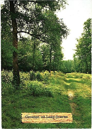 914259 Laag Soeren Gld 1972 Postzegel afgeweekt  beschikbaar voor biedingen
